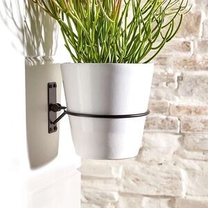 NEW 2 CRATE AND BARREL WALL PLANTER HOOK (Set of 2)